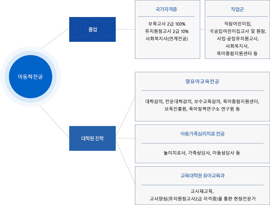 학부 진로와 전망