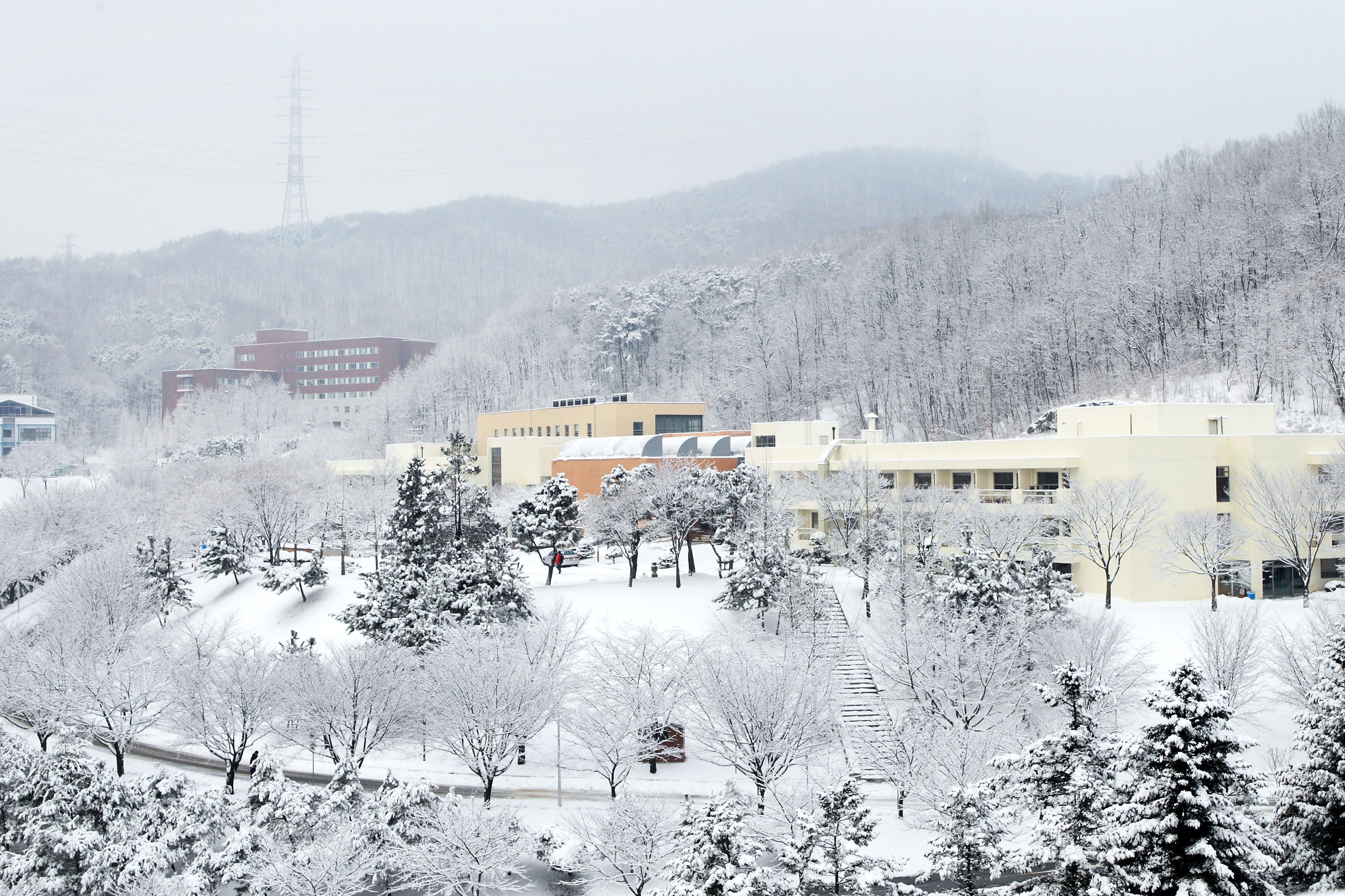 캠퍼스 겨울 전경 1번째 첨부파일 이미지